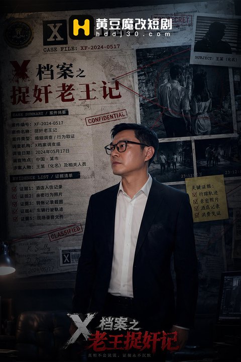 X档案之老王捉奸记海报