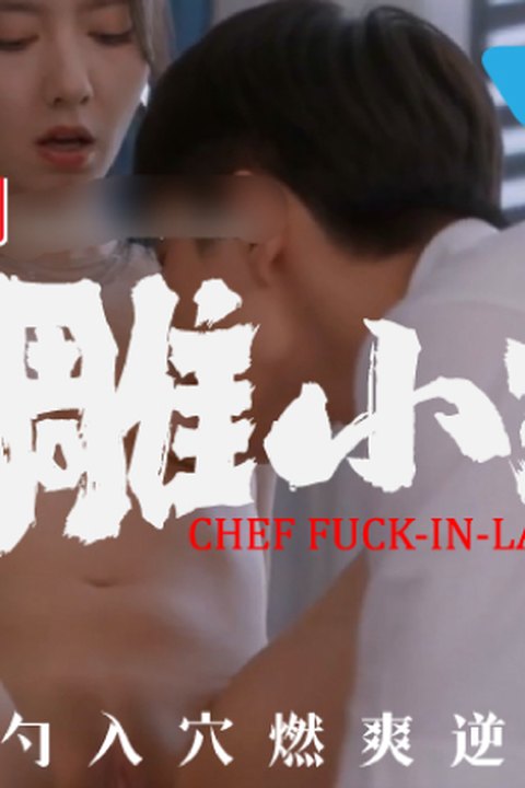 魔改网剧 下《大厨小婿》主演：陈姝君、朱容君、姬天语、景漫等！ 黄果AI短剧海报