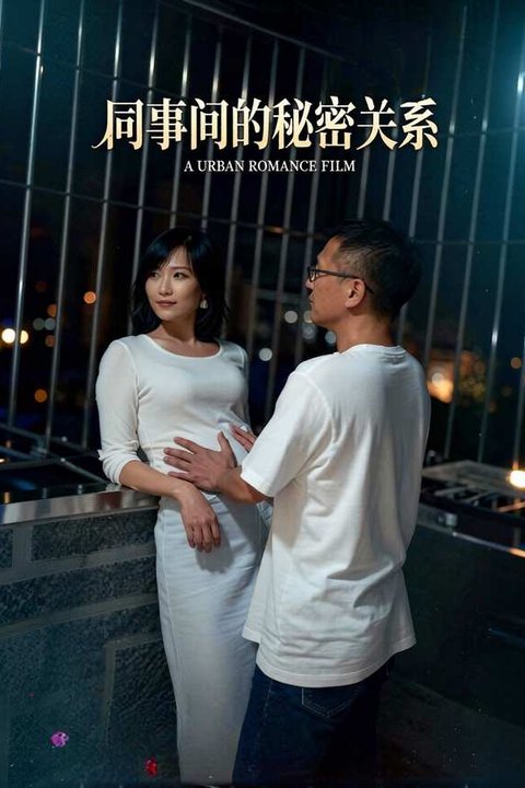 同事间的秘密关系海报