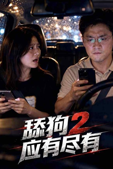 舔狗2应有尽有海报
