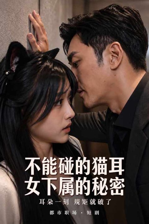 不能碰的猫耳女下属的秘密海报