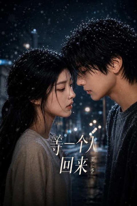 等一个人回来 第二季海报
