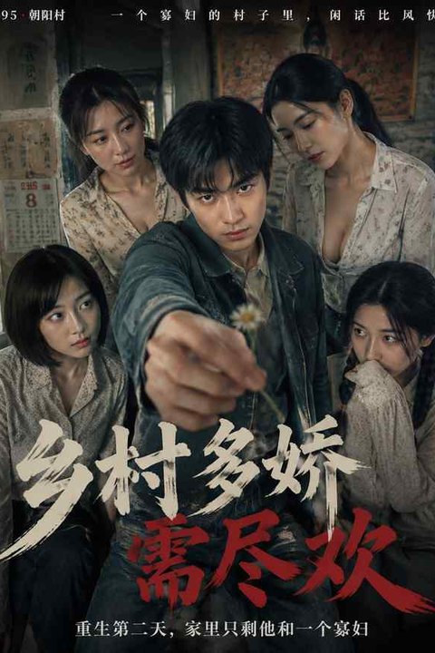 乡村多娇需尽欢海报