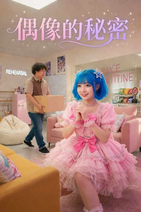 偶像的秘密海报
