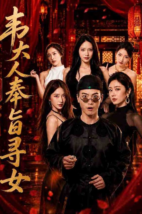 韦大人奉旨寻女海报